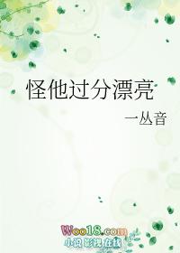 怪他过分漂亮一丛音免费阅读