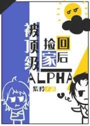 被顶级Alpha捡回家之后全文