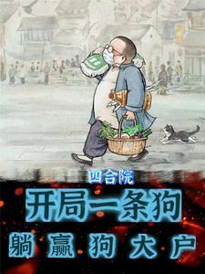 四合院开局一个小目标