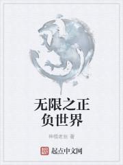 无限正义16