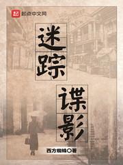 迷踪谍影迅雷