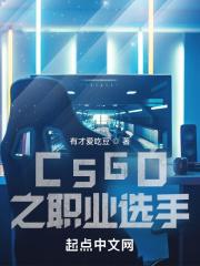 csgo职业jee
