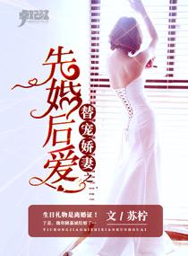 宠婚缠绵替嫁娇妻